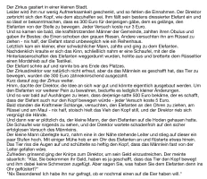 IMG_3161.jpeg