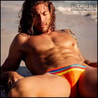 LONGHAIR BEACH.webp