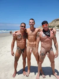 371_1000 (1).webp