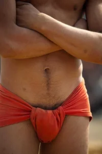 pubes (1).webp