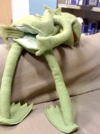 kermit.webp