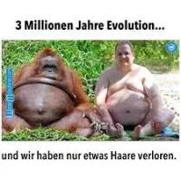 orang.webp