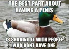 I-like-this-idea---.webp