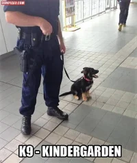 0444a236b13a8e26a1dcf4997a797b2d.webp