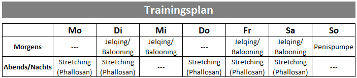 Trainingsplan.png Trainingsplan.png