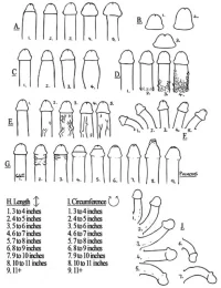 ==GH7W6QE.webp