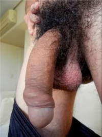 790fkf35sx.webp