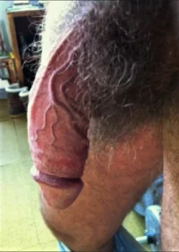 Screenshot 2023-07-22 190852.webp