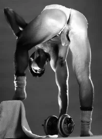 tumblr_ktbfbffsIW1qzw3gpo1_500.webp