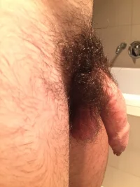 pube s9a0er.webp
