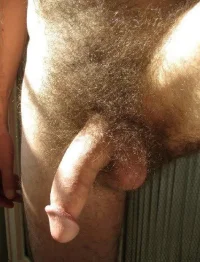 pubes _5'354_.webp