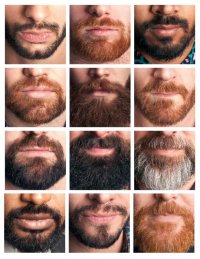 barba re_ar'.jpg