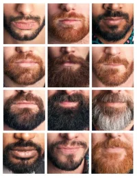 barba re_ar'.webp