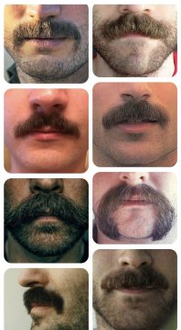bigote oekwe0tw¡et.jpg
