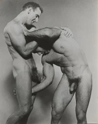 vint wrestl 0t3't4.webp