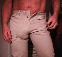 bulto '.png