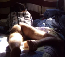 76R[p-4.43sx.webp