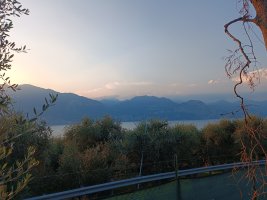 IMG_20230812_194844.jpg