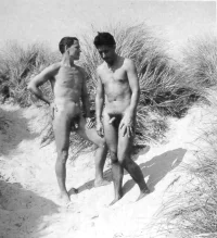 DUNES.webp