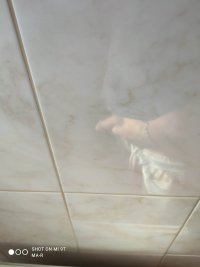 IMG_20230826_104447.jpg