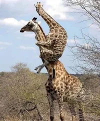 Screenshot_20230814-212037_Facebook.webp