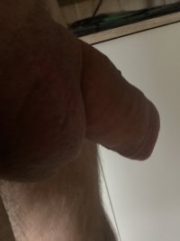 IMG_0313.jpeg