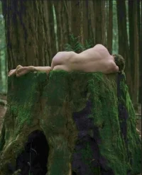 bosque.webp
