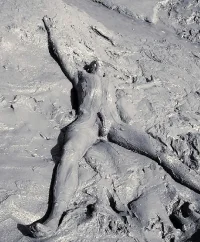 095_1000.webp