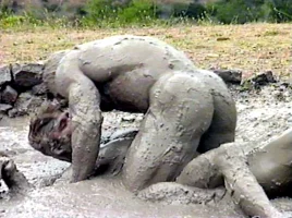 boys-R-messy-mud1.webp