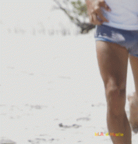bulto 050y05.gif