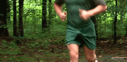 bulto 5345345304534 523 5.gif