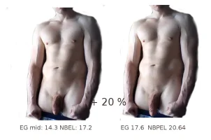 vergleich20.webp