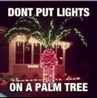 picdump-17-12-01-125[38658].webp