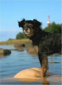 girls_with_dogs_29_m.webp