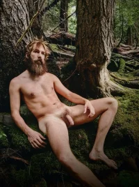 bosque 94'53_'543`45.webp