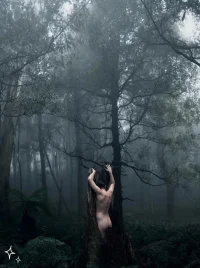 bosque 94'634'6_0346.webp
