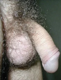 100710_081.webp