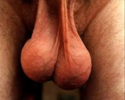 tumblr_m1vnlr0U651qgrwdfo4_250.webp