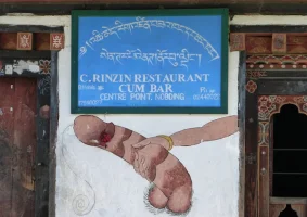 10. Restaurant cum bar.webp