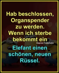FB_IMG_1699039213025.webp