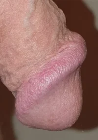 20230928_195450.webp