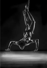 inselmann (18).webp