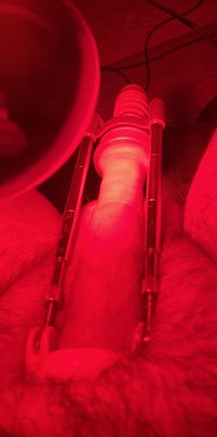 IMG_1428.jpeg