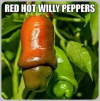 pene chily.webp