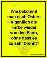 FB_IMG_1681417376492.webp