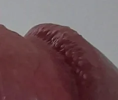 1712586480163.png