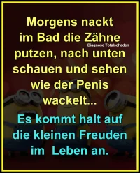 85679137-cdfd-4156-93e0-8ac5878a4dd2.webp