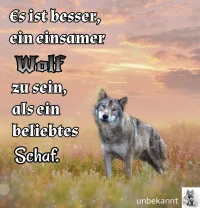 1000012230.webp