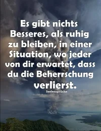 FB_IMG_1732818764317.webp
