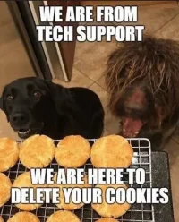 2delete cookies.webp